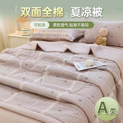 湘雪 2025新款双面全棉印花夏被可机洗小清新纯棉夏凉被薄被芯空调被子 青春日记