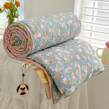 星巴k家纺 2025新款A类水洗双层纱大豆纤维夏被夏凉被空调被 玫瑰花园
