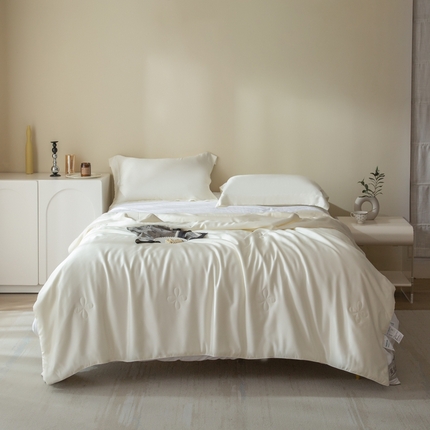 1212025新款进口60支天丝夏被夏凉被空调被 珠光白