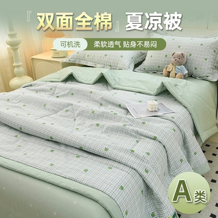 湘雪 2025新款双面全棉印花夏被可机洗小清新纯棉夏凉被薄被芯空调被子 青苹果乐园