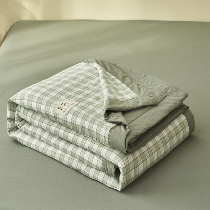 寐绸家纺 2025新款纯棉水洗棉无印风新疆棉花夏被四件套 经典格