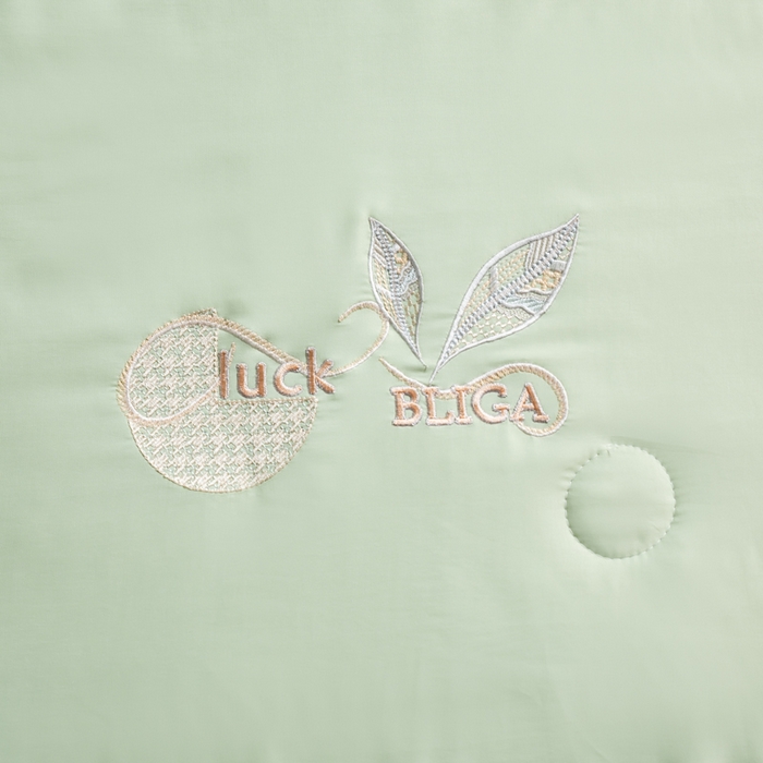 91家纺网 家纺一手货源 找家纺 眠多宝 2025新款奥地利兰精天丝刺绣夏被空调被 香绿