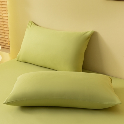 （总）梵克保罗 2025新款简约纯色亲肤磨毛枕套