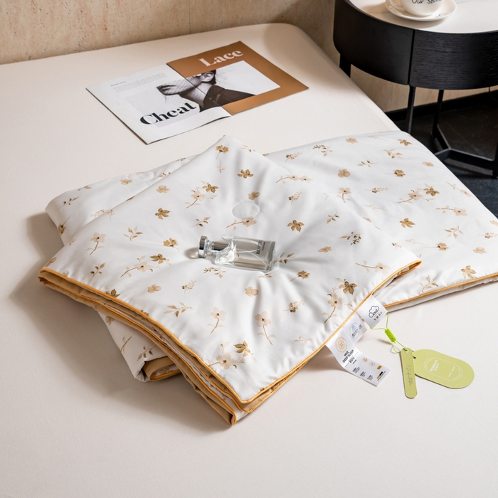 眠多宝 2025新款舒适莱赛尔纤维夏被被子被芯 梦莱