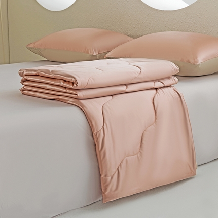 恩和家纺 2025新款柔光缎冰美式凉感夏被被子被芯 品客粉