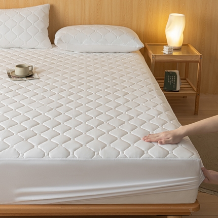 梵克保罗 2025新款纯色加棉防水大豆纤维床笠 雅典白