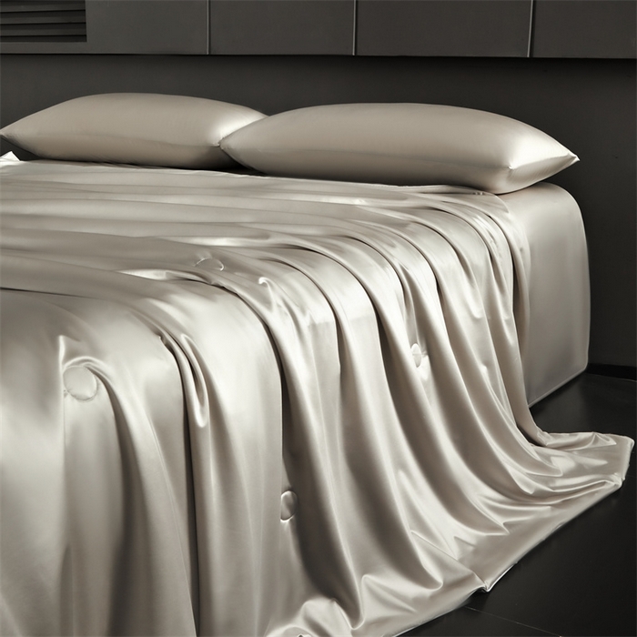 91家纺网 家纺一手货源 找家纺 雯豆家纺 2025夏季新品锦纶+氨纶高档冰丝凉感夏被空调被7A抗菌薄被芯 冰芙绸夏被-奢华槟