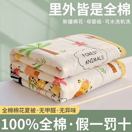 （自己工厂 有网销大热款 网销帮推可合作优惠）2025新款全棉夏被空调被夏凉被纯棉夏季儿童棉花薄被子 欢乐谷