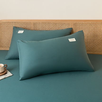 梵克保罗 2025新款亲肤舒适全棉13372喷气纯色单枕套 墨子绿
