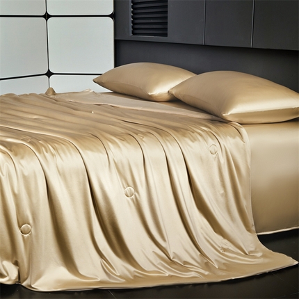 雯豆家纺 2025夏季新品锦纶+氨纶高档冰丝凉感夏被空调被7A抗菌薄被芯 冰芙绸夏被-琥珀金