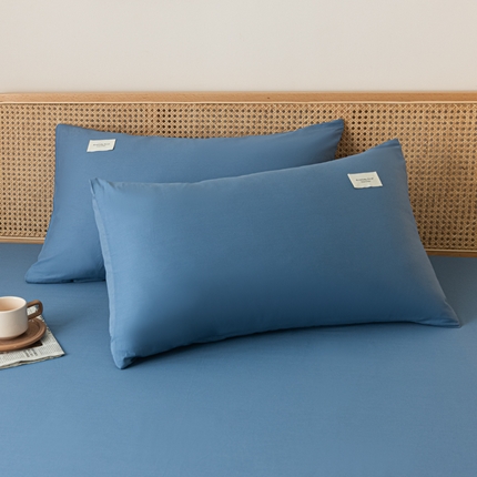 梵克保罗 2025新款亲肤舒适全棉13372喷气纯色单枕套 运动蓝