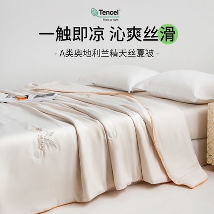 91家纺网 家纺一手货源 找家纺 眠多宝 2025新款奥地利兰精天丝刺绣夏被空调被 米卡