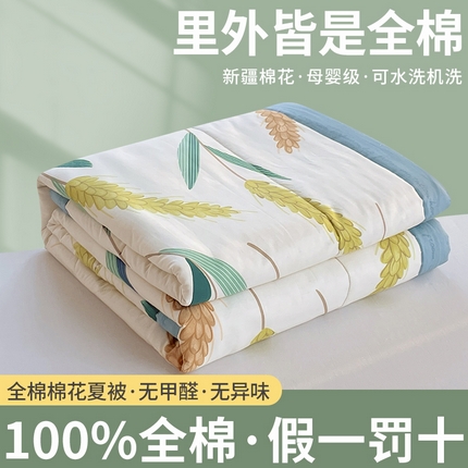 91家纺网 家纺一手货源 找家纺 （自己工厂 有网销大热款 网销帮推可合作优惠）2025新款全棉夏被空调被夏凉被纯棉夏季儿童棉花薄被子 麦香米