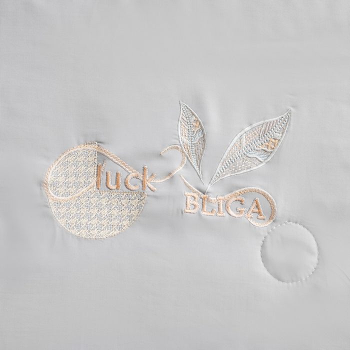 91家纺网 家纺一手货源 找家纺 眠多宝 2025新款奥地利兰精天丝刺绣夏被空调被 之灰