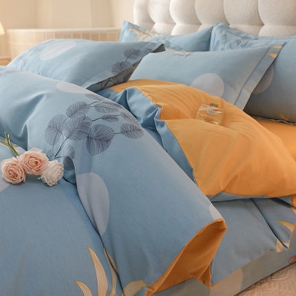 幸嘉轩 2025新款全棉喷气加厚磨毛单被套 时光