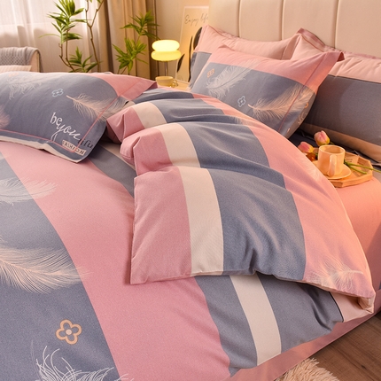 幸嘉轩 2025新款全棉喷气加厚磨毛单被套 羽飞舞