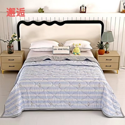 91家纺网 家纺一手货源 找家纺 富之纹家纺 2025新款水洗棉亲肤棉超声波压花夏被直播供应链引流爆款 邂逅