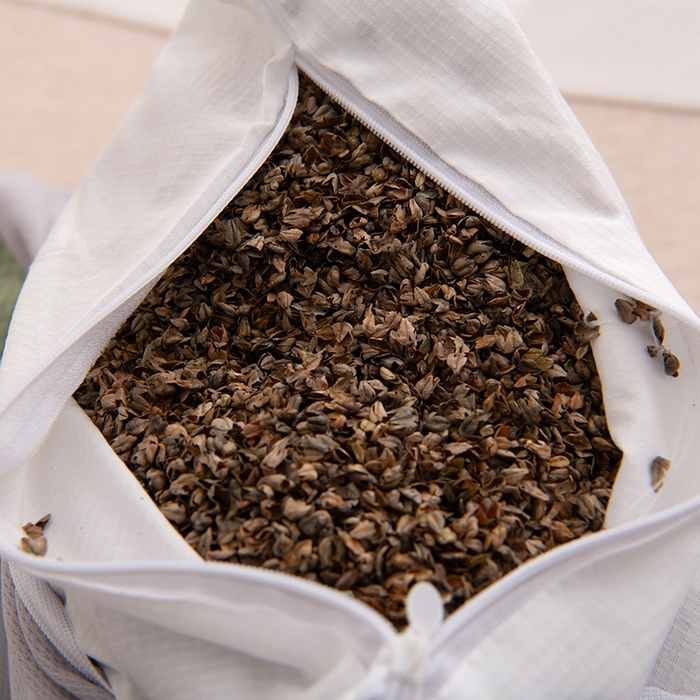 91家纺网 家纺一手货源 找家纺 芯洲 2025新款凉豆豆儿童学生枕卡通小象枕芯荞麦枕 魔术小象-绿  28*48cm