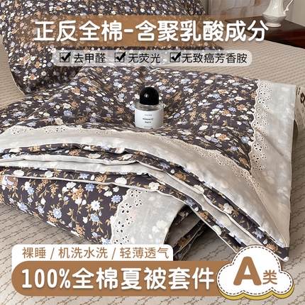 帕拉美拉 2025新款全棉法式风玉米夏被春秋被玉米被三件套四件套 田园拾趣（灰）