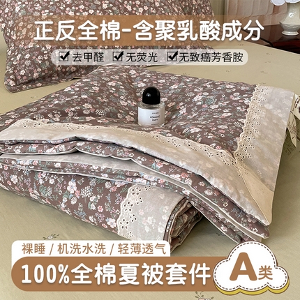 帕拉美拉 2025新款全棉法式风玉米夏被春秋被玉米被三件套四件套 银杉之梦（咖）