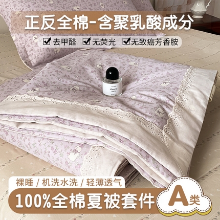 帕拉美拉 2025新款全棉法式风玉米夏被春秋被玉米被三件套四件套 摩伊