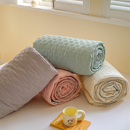 左右家纺 2025新款华夫格大豆夏被被子被芯 组合