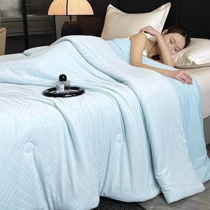 子由家居 2025新款凉感丝浮雕提花大豆夏被被子被芯 经典格-天蓝