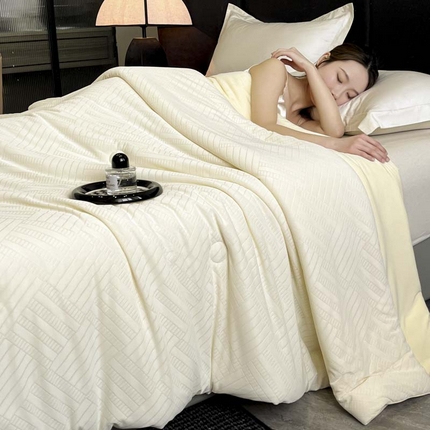 子由家居 2025新款凉感丝浮雕提花大豆夏被被子被芯 经典格-米白