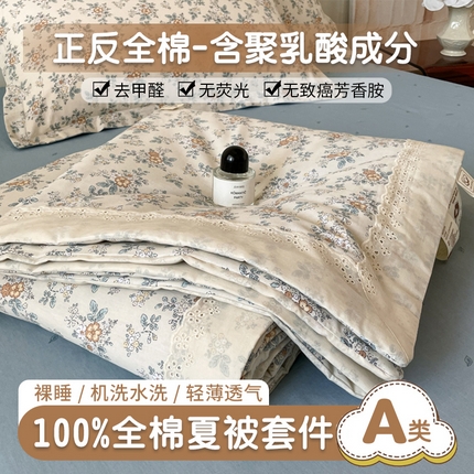帕拉美拉 2025新款全棉法式风玉米夏被春秋被玉米被三件套四件套 花缇（米）