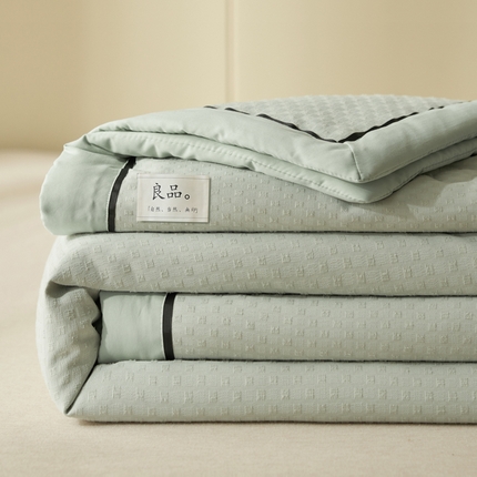 （总）子由家居 2025新款雪花棉提花大豆被被子被芯