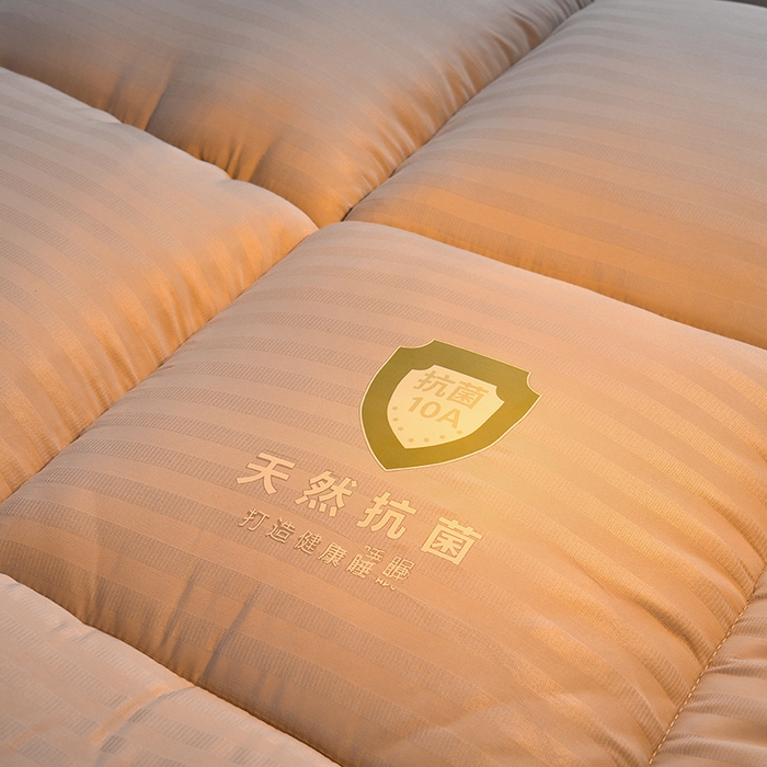 91家纺网 家纺一手货源 找家纺 （总）招财狼 2025新款亲肤磨毛床垫