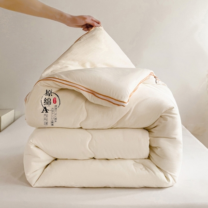 思雅庭 2025新款水洗棉大豆纤维子母被  春秋被 夏被 四季被 被子被芯 白色