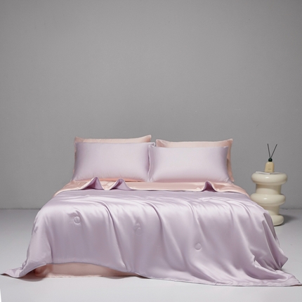 91家纺网 家纺一手货源 找家纺 （总）利欧 2025新款纯色双拼水洗天丝夏被四件套