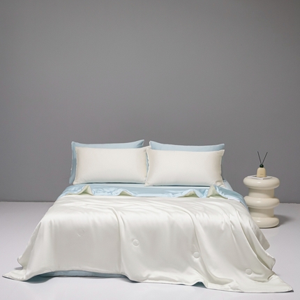 91家纺网 家纺一手货源 找家纺 （总）利欧 2025新款纯色双拼水洗天丝夏被四件套