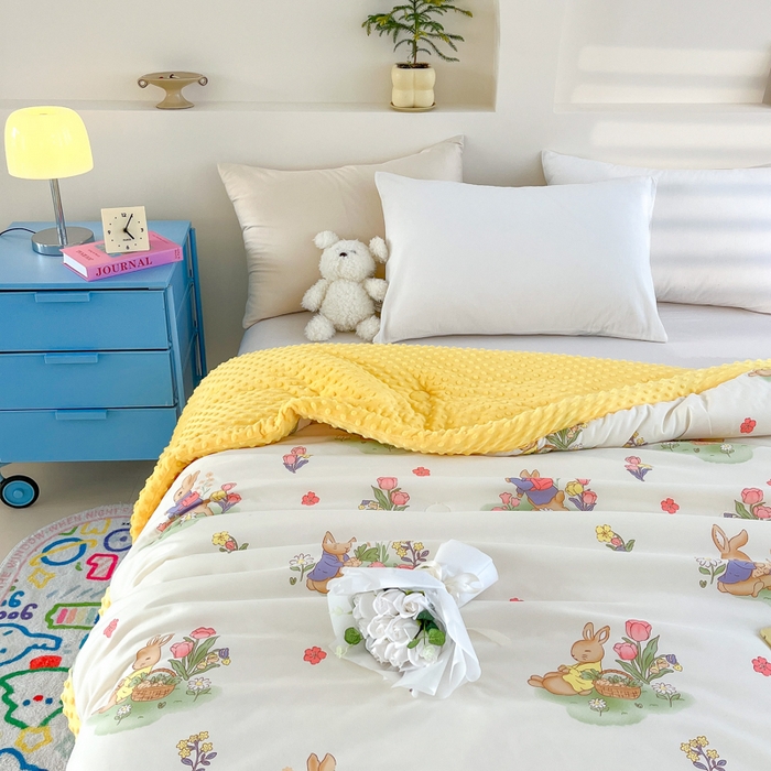 91家纺网 家纺一手货源 找家纺 爱宝被业 2025新款A类凉感豆豆绒羽丝棉夏被 彼得兔