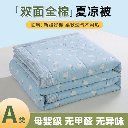91家纺网 家纺一手货源 找家纺 沃尔居 2025新款双面全棉印花夏被可机洗小清新纯棉夏凉被薄被芯空调被子 雨汐