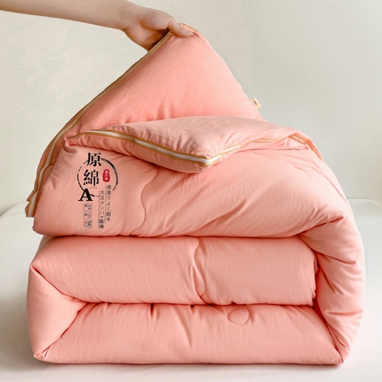 思雅庭 2025新款水洗棉大豆纤维子母被  春秋被 夏被 四季被 被子被芯 玉色