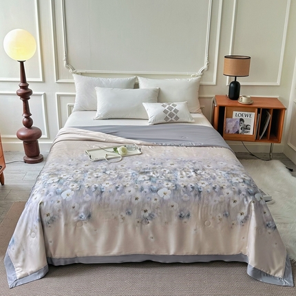 博尔菲  2025年新款数码印花AB版两用大豆夏凉被空调被夏被 数码印花 AB版-灰澜栖语