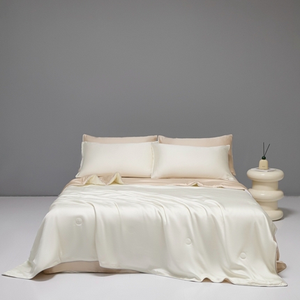 91家纺网 家纺一手货源 找家纺 （总）利欧 2025新款纯色双拼水洗天丝夏被四件套