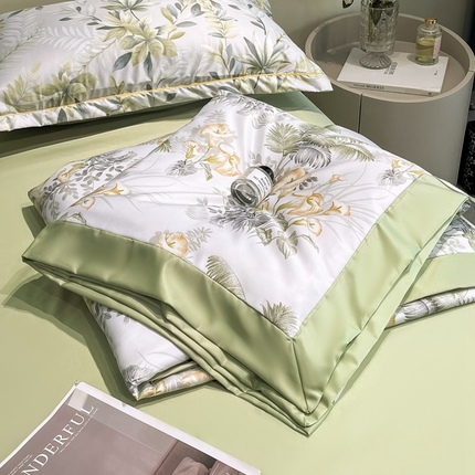 （总）佳品居 2025新款直播水洗天丝夏被冰丝夏凉被空调被四件套