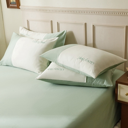 金奇达2025新款【黛拉】-茧养莱赛尔四件套（标准号全网控价（折后券后）不低于228元） 黛拉-香草绿