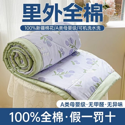 91家纺网 家纺一手货源 找家纺 （总）初相识被业 2025新款里外全棉夏被棉花夏被四件套印花夏凉被空调被