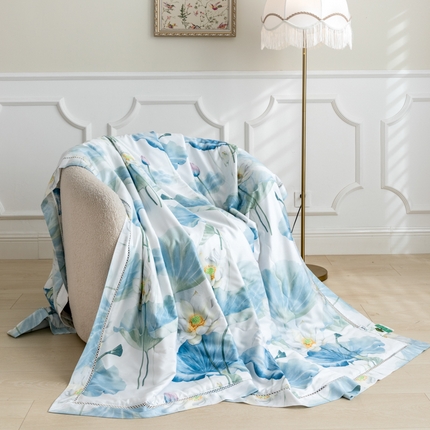 （总）棉生活家纺 2025新款春夏莫代尔天丝夏被