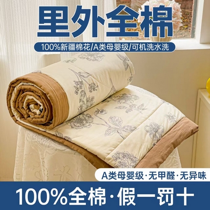 91家纺网 家纺一手货源 找家纺 （总）初相识被业 2025新款里外全棉夏被棉花夏被四件套印花夏凉被空调被