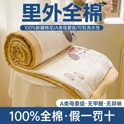 91家纺网 家纺一手货源 找家纺 （总）初相识被业 2025新款里外全棉夏被棉花夏被四件套印花夏凉被空调被
