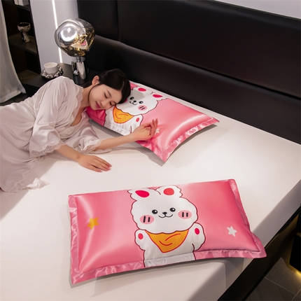 圣比熊 2025新款可水洗冰丝卡通枕套宿舍48x74cm单人凉爽枕头套 乖萌兔