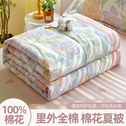 91家纺网 家纺一手货源 找家纺 （总）欧夏家纺 2025新款里外全棉印花夏被100%新疆棉花夏凉被空调被直播供货