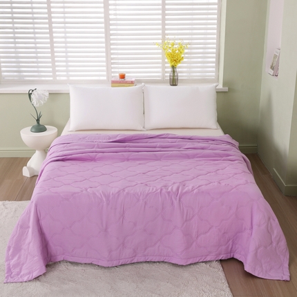 太阳树家纺 2025水洗棉夏被夏凉被空调被超声波压花礼品直播供应链引流爆款 紫色