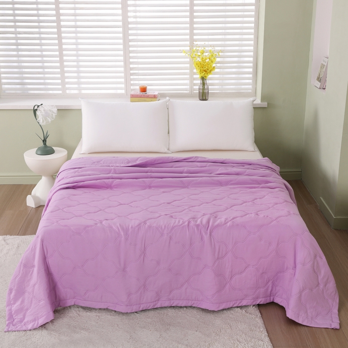 91家纺网 家纺一手货源 找家纺 太阳树家纺 2025水洗棉夏被夏凉被空调被超声波压花礼品直播供应链引流爆款 紫色