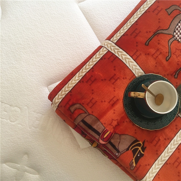 91家纺网 家纺一手货源 找家纺 卡奥2025AB版云貂绒毛毯直播爆款法莱绒休闲盖毯沙发毯午睡毯空调毯子 马车